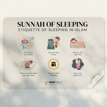 Sunnah of Sleeping - Sticker